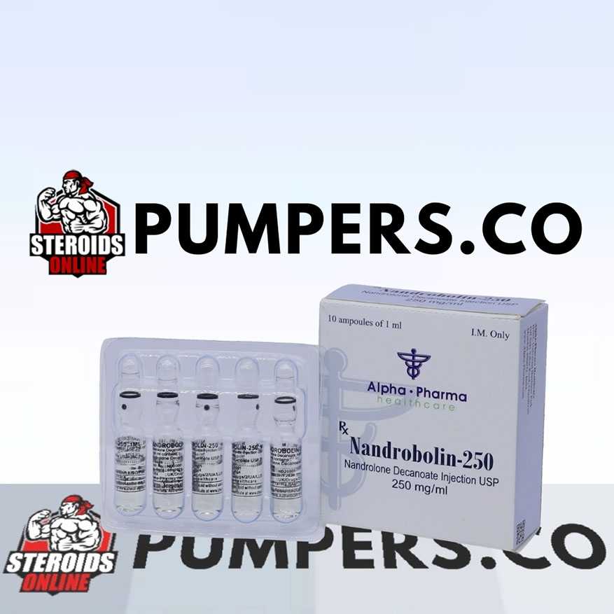 Nandrobolin (nandrolone decanoate) 10 ampoules (250mg/ml)