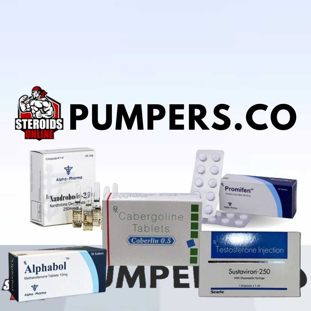 Super Mass Builder #2 Cycle