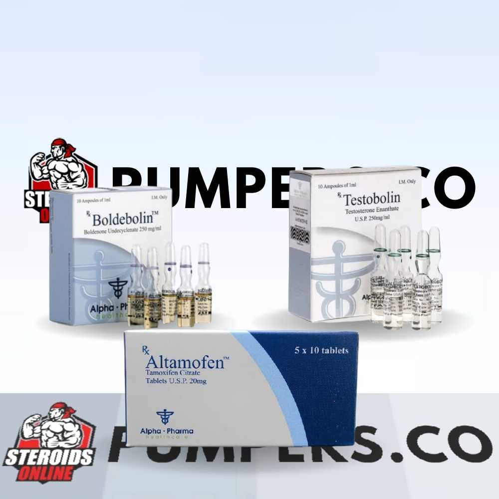 Begginers Mass Builder Cycle