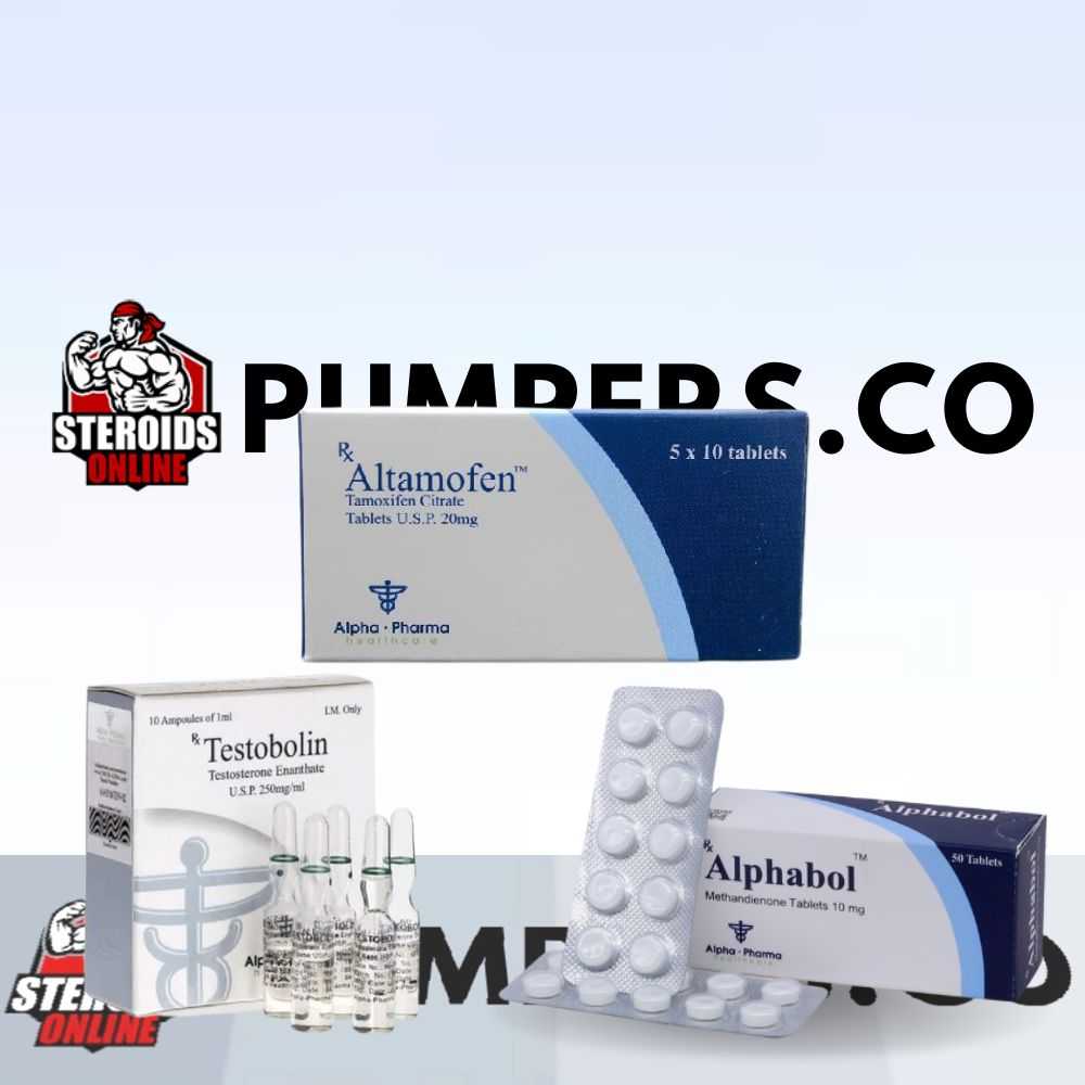 Mass Builder #1 Cycle