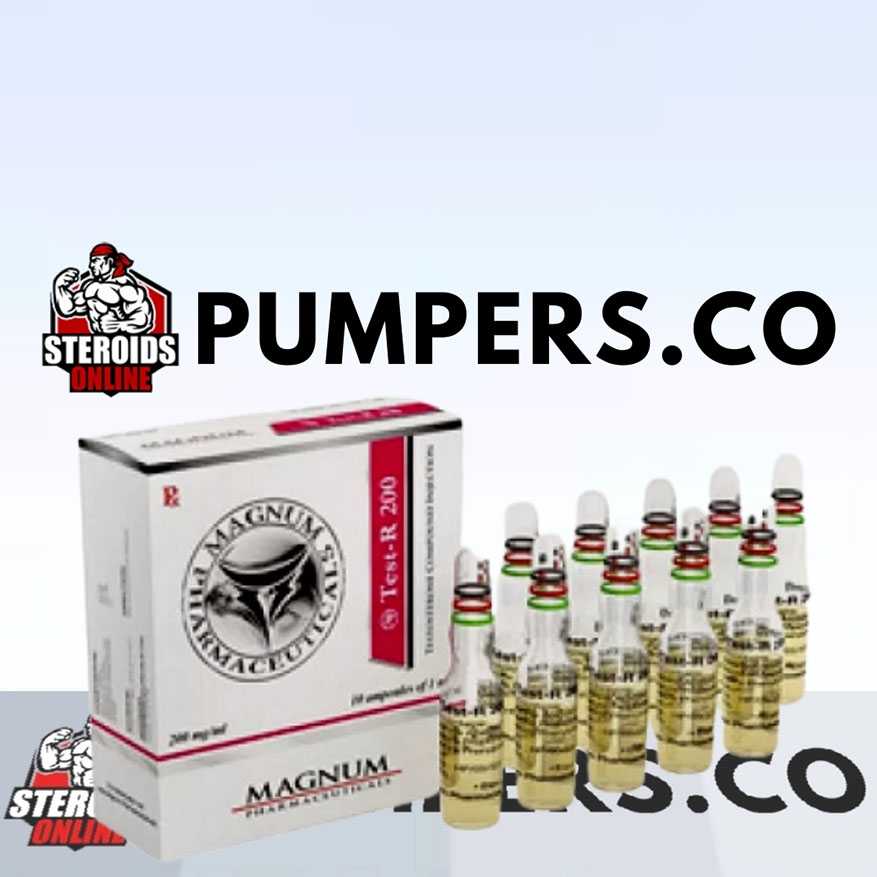 Magnum Test-R 200 (testosterone mix) 10 ampoules (200mg/ml)