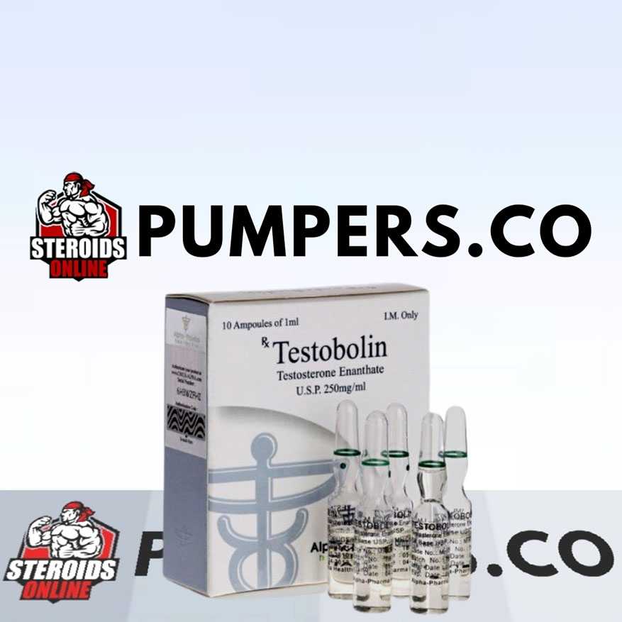 Testobolin (ampoules) (testosterone enanthate) 10 ampoules (250mg/ml)